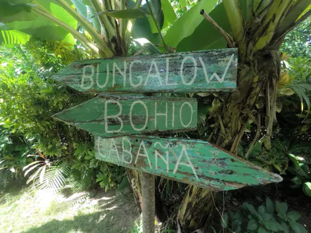 Hotel Dream Glamping Jungle Bohio Las Terrenas Exteriér fotografie