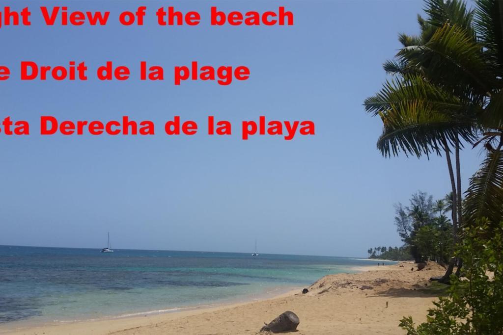 Hotel Dream Glamping Jungle Bohio Las Terrenas Exteriér fotografie