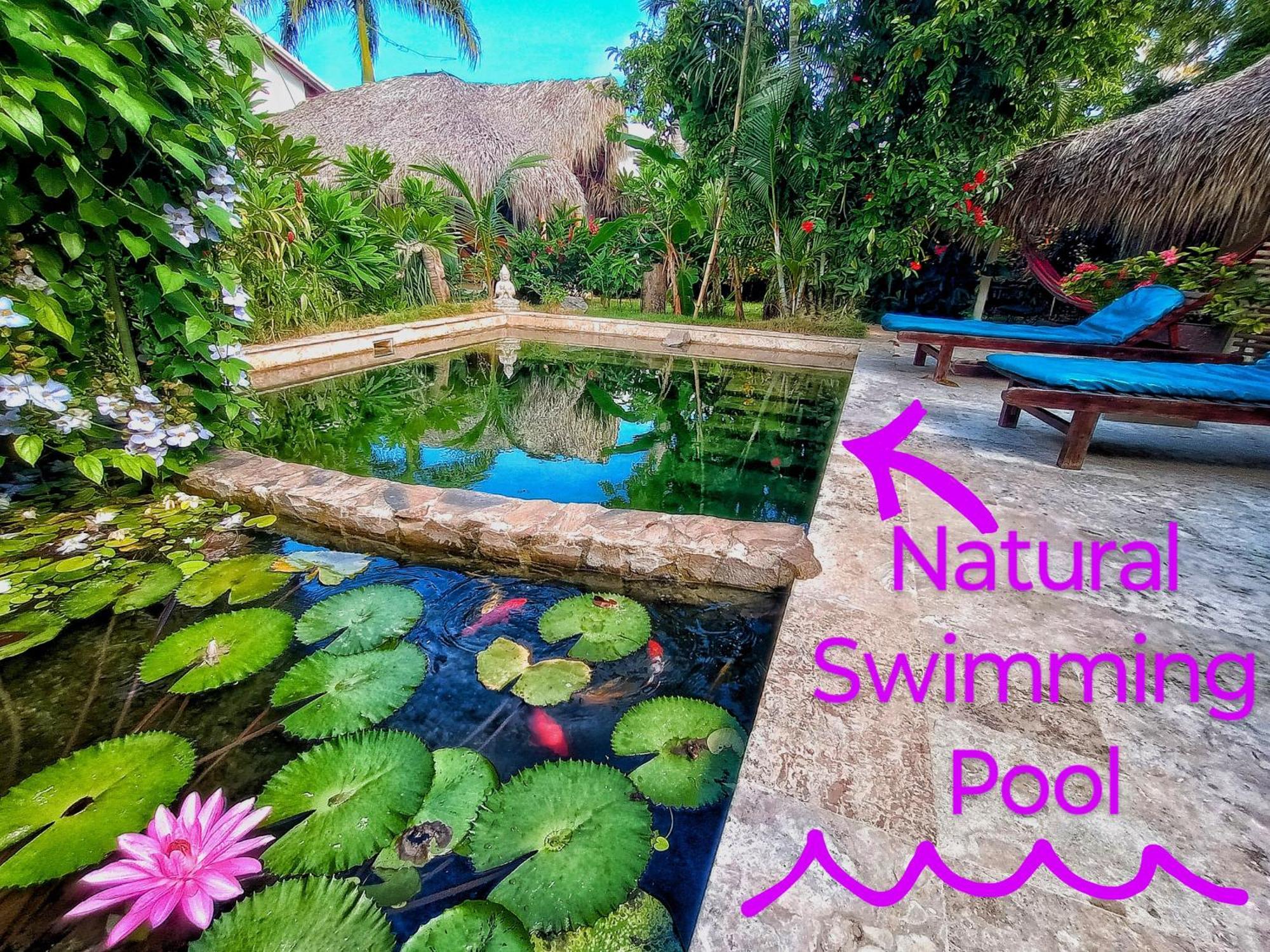 Hotel Dream Glamping Jungle Bohio Las Terrenas Exteriér fotografie
