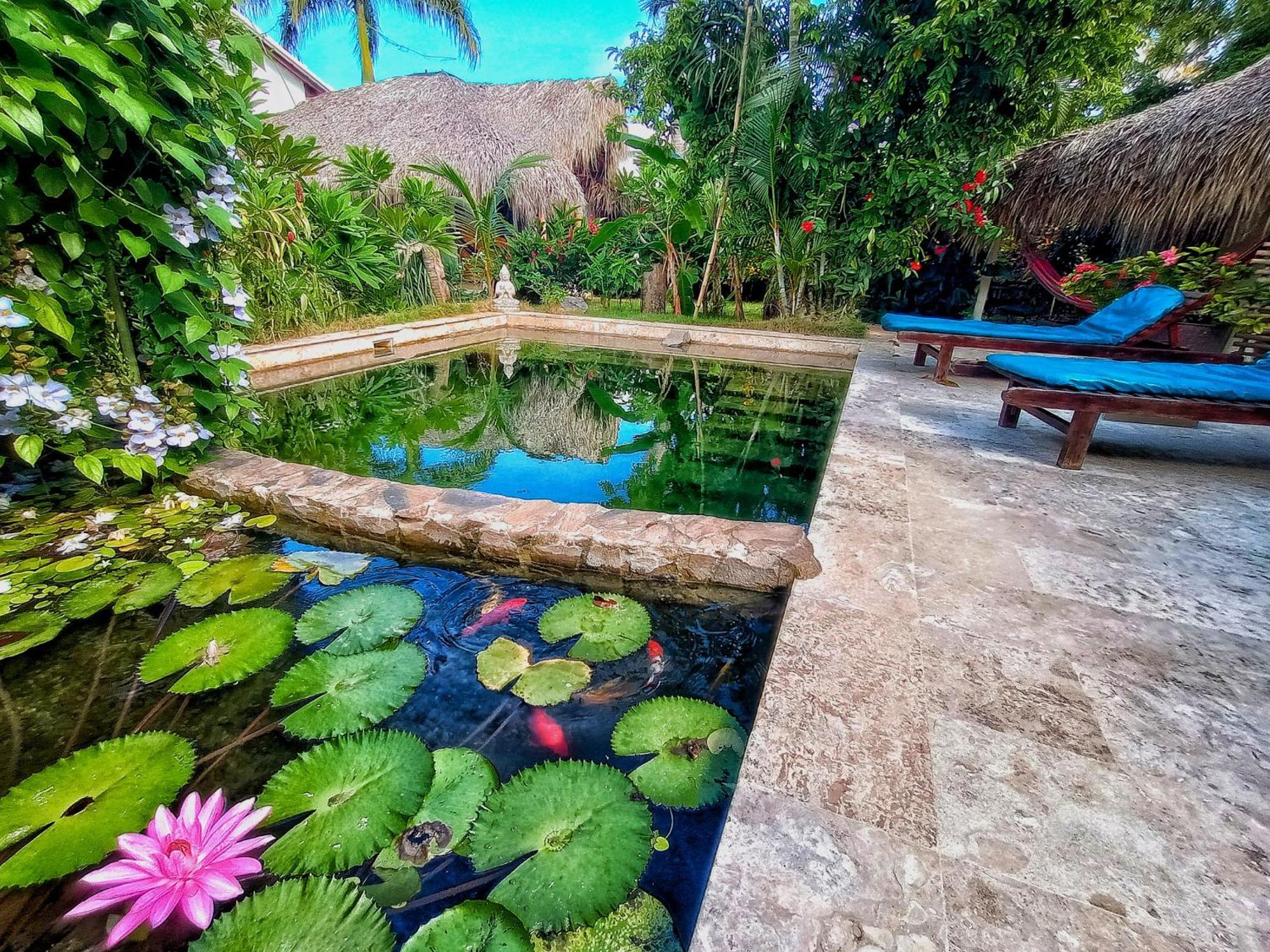 Hotel Dream Glamping Jungle Bohio Las Terrenas Exteriér fotografie