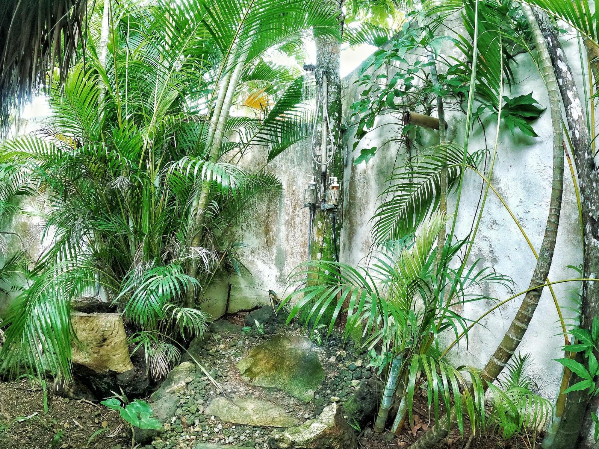 Hotel Dream Glamping Jungle Bohio Las Terrenas Exteriér fotografie