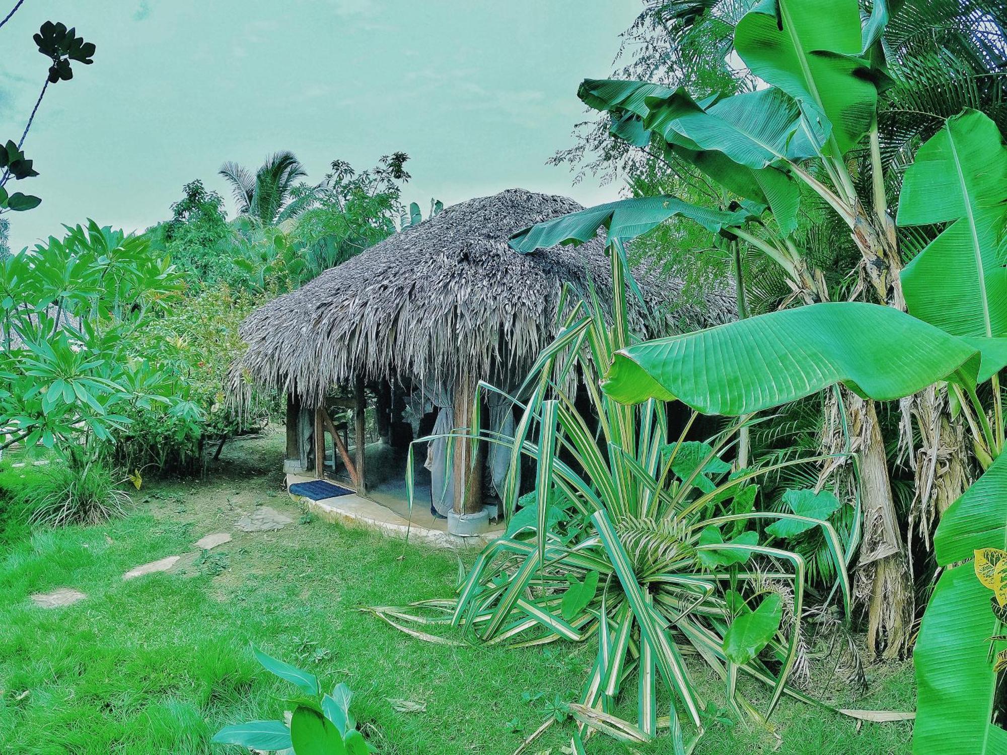Hotel Dream Glamping Jungle Bohio Las Terrenas Exteriér fotografie