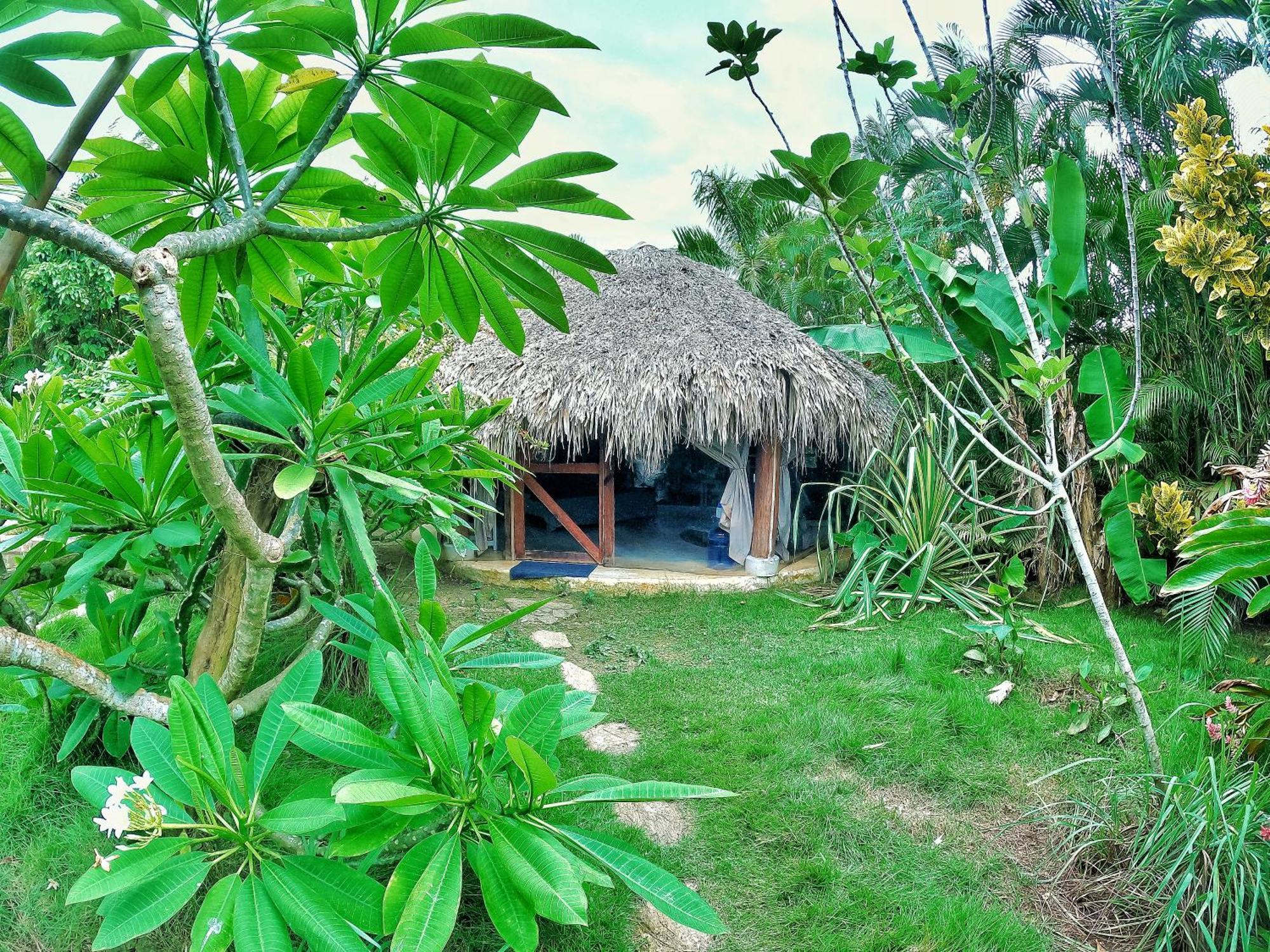 Hotel Dream Glamping Jungle Bohio Las Terrenas Exteriér fotografie