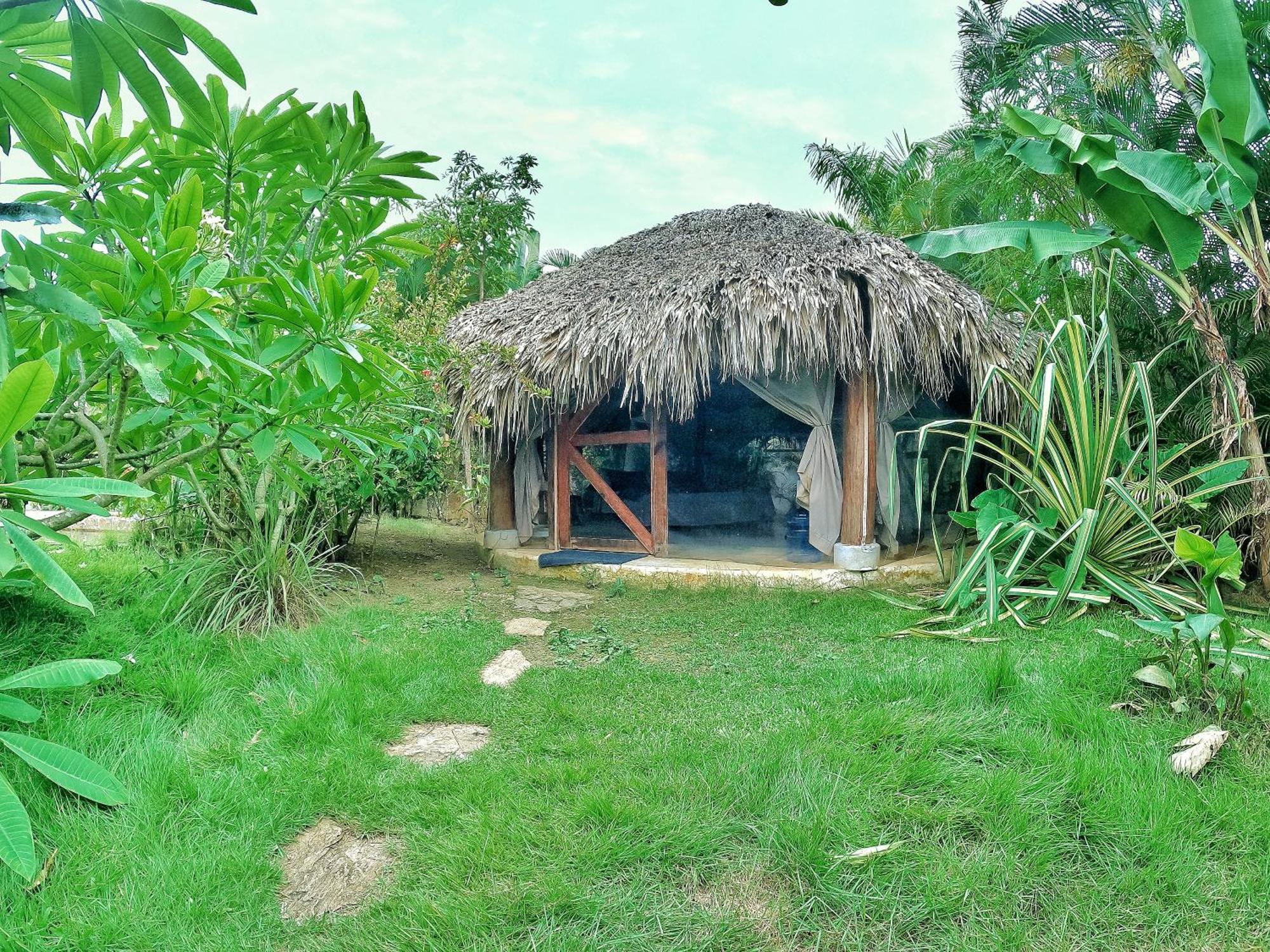 Hotel Dream Glamping Jungle Bohio Las Terrenas Exteriér fotografie